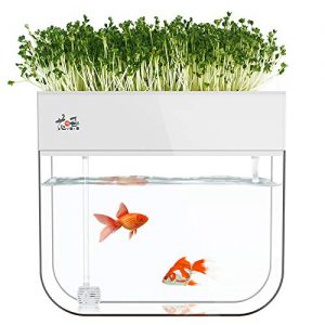 Huamuyu Hydroponic Garden Aquaponic Fish Tank