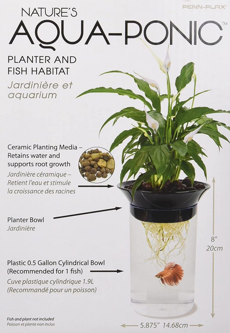 penn plax aquaponic betta fish tank review - the