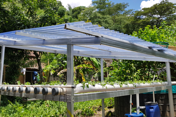 outdoors aquaponic system